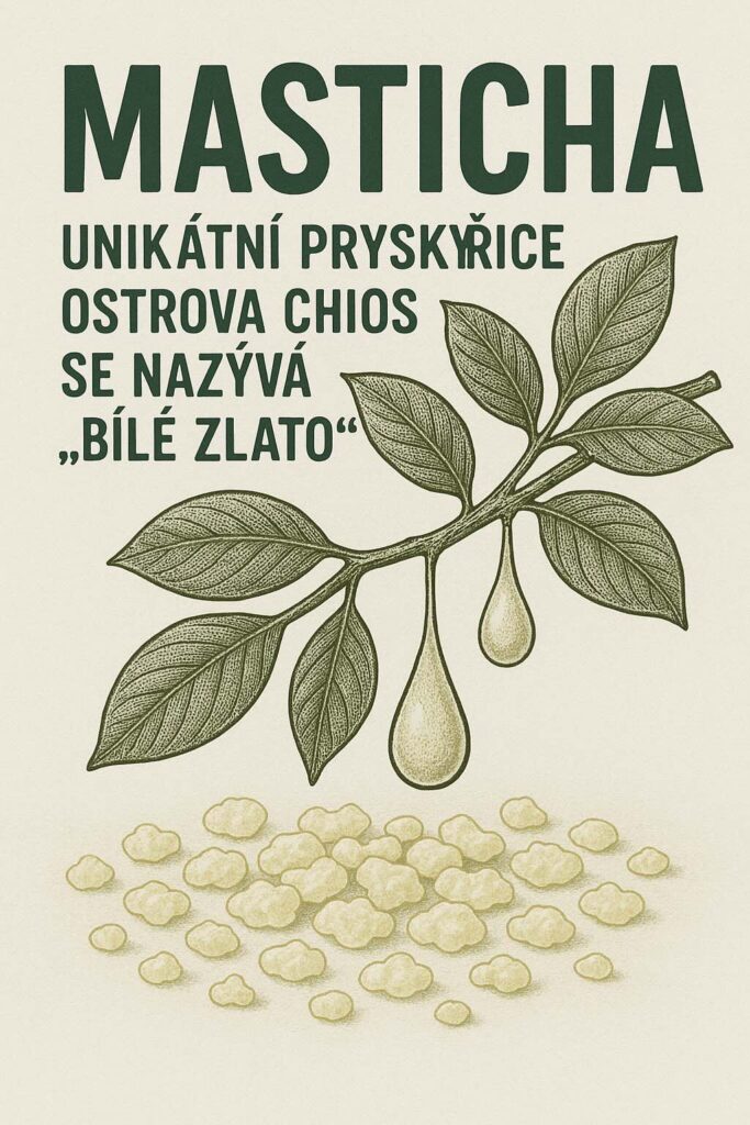 Masticha: Unikátní pryskyřice ostrova Chios se nazývá „bílé zlato“